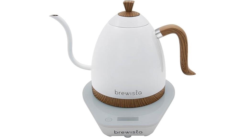 electric gooseneck kettle lcd