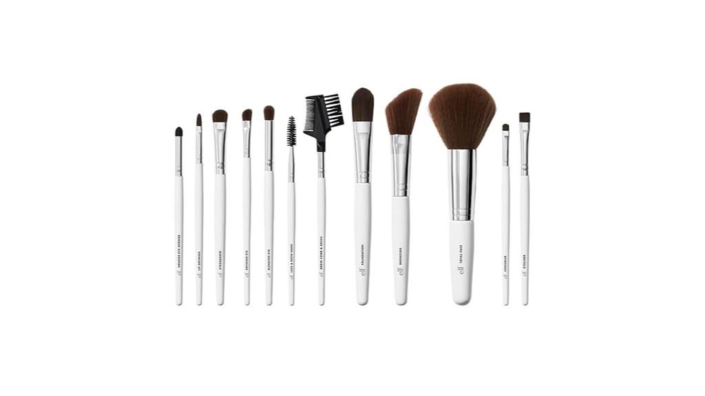 professional 12 piece brush set