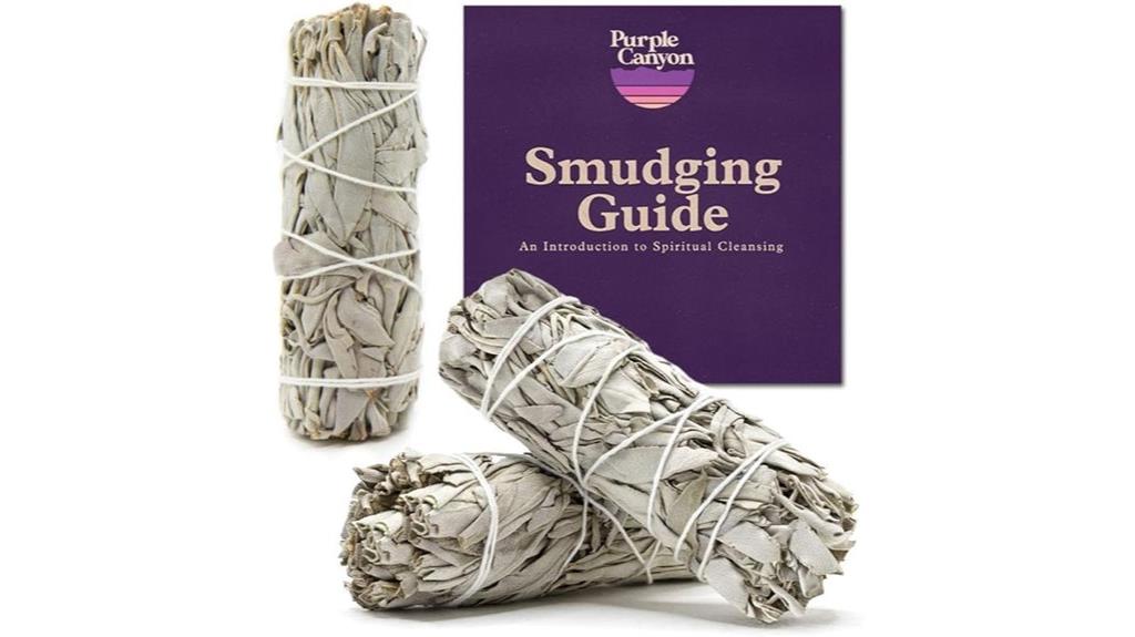 purple canyon sage bundles