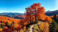 best autumn foliage spots