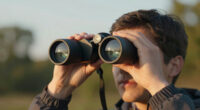 10 Best Binoculars for Bird Watching in 2026