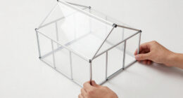 14 Best Greenhouse Kits in 2026 — Your Complete Buying Guide