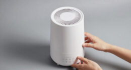 2 Best Whole Home Humidifier in 2026