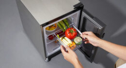 6 Best Campervan Refrigerators in 2026 — The Ultimate Buyer’s Guide