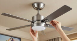 6 Best Premium Ceiling Fan in 2026