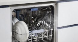 essential dishwasher features today