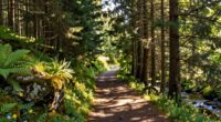 nature aids mental recovery