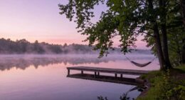 recovery as wellness focus
