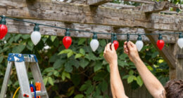 15 Best Patriotic Outdoor String Lights in 2026