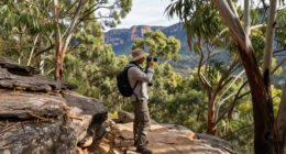 Nattai National Park Surges In Global Coverage