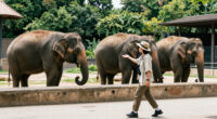 Zoologischer Garten Berlin